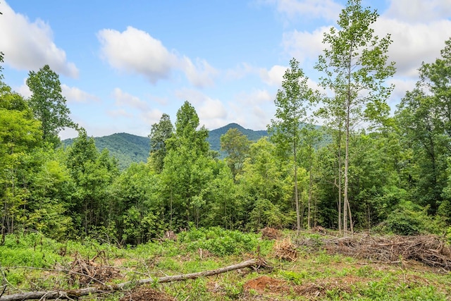 Listing photo 3 for 4.77AC Tom Wheeler Rd, Hiawassee GA 30546