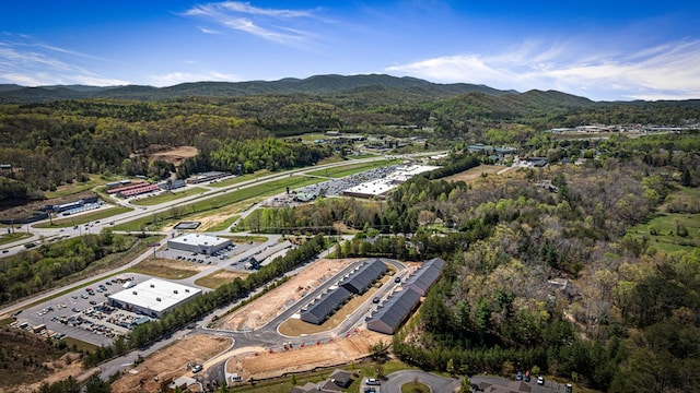 UNIT2 Grove Loop, Blue Ridge, GA 30513 - view of property location with a forest and a mountain backdrop