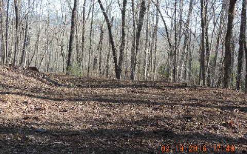 Listing photo 3 for LOT28 Mission Ridge Dr, Hayesville NC 28904