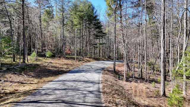 Lot8,10 Hawks Nest, Blairsville GA, 30512 land for sale