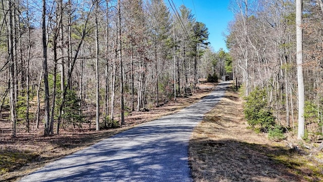 Listing photo 2 for Lot8,10 Hawks Nest, Blairsville GA 30512