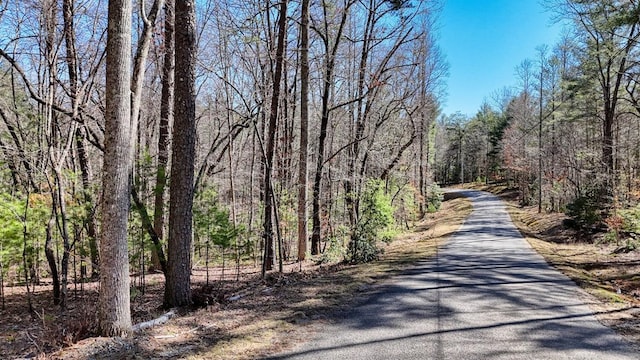 Listing photo 3 for Lot8,10 Hawks Nest, Blairsville GA 30512