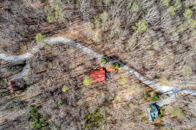 drone / aerial view