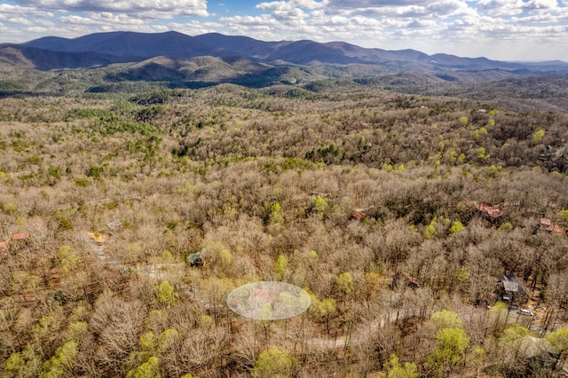 property view of mountains