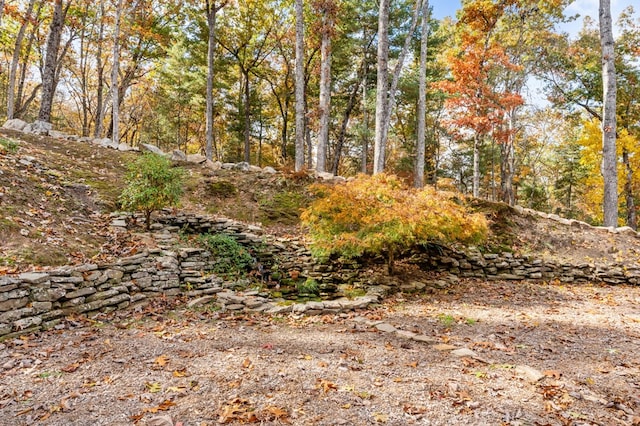 view of local wilderness