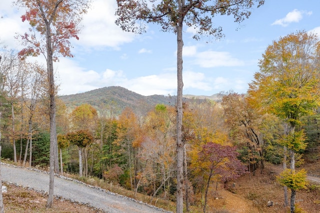 view of mountain feature