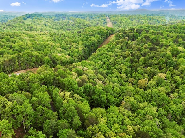 bird's eye view featuring a forest view