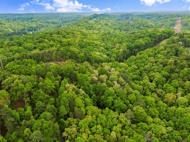 drone / aerial view with a forest view