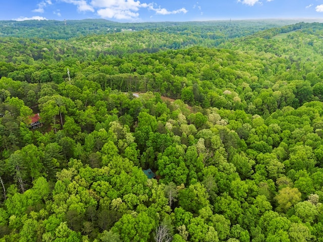 birds eye view of property featuring a wooded view