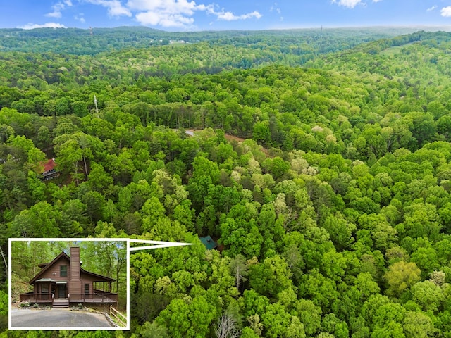 bird's eye view with a forest view