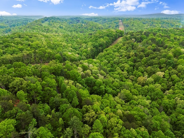 birds eye view of property with a mountain view and a wooded view