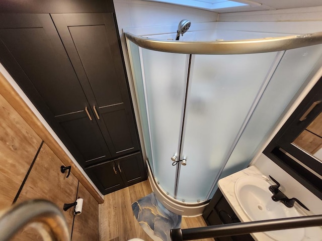 bathroom with a shower stall, vanity, and wood finished floors