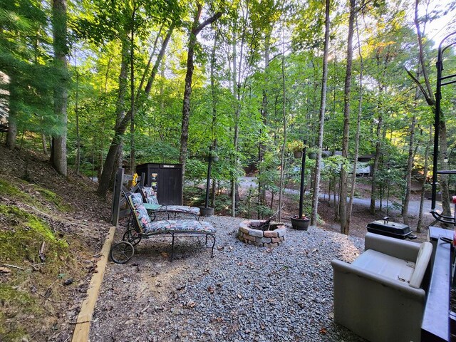 exterior space featuring an outdoor fire pit and a storage unit