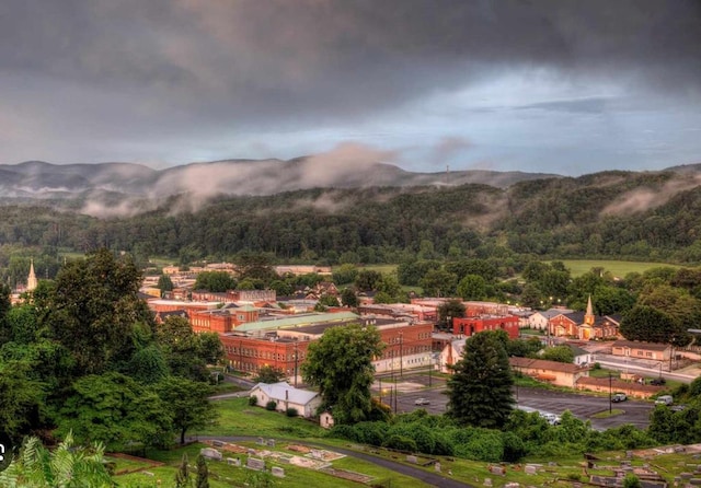 mountain view featuring a wooded view