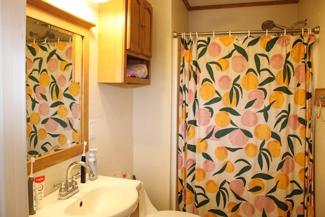 64 Cloe Moore Dr, Murphy, NC 28906 - full bathroom featuring a sink, toilet, a shower with curtain, and ornamental molding