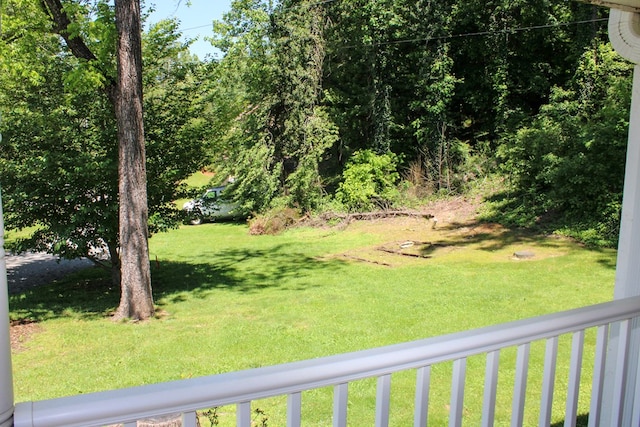 64 Cloe Moore Dr, Murphy, NC 28906 - view of green lawn