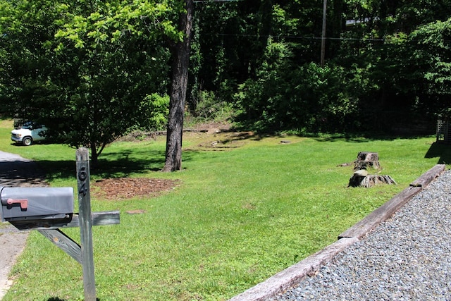 64 Cloe Moore Dr, Murphy, NC 28906 - view of green lawn