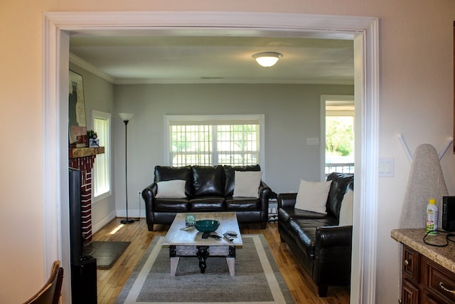 64 Cloe Moore Dr, Murphy, NC 28906 - living room featuring light wood-style floors, plenty of natural light, ornamental molding, and a fireplace