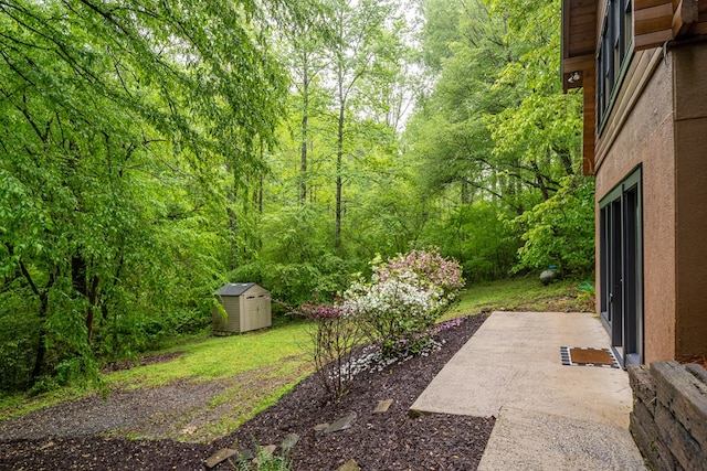 121 Farmstead Rd, Ellijay, GA 30540 - view of yard featuring a storage unit, an outbuilding, a patio area, and a forest view