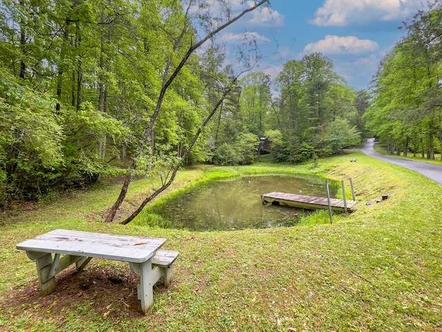 121 Farmstead Rd, Ellijay, GA 30540 - view of property's community with a view of trees and a dock