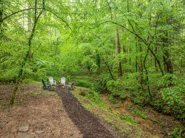 121 Farmstead Rd, Ellijay, GA 30540 - view of yard with a view of trees and an outdoor fire pit
