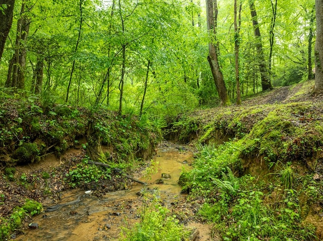 121 Farmstead Rd, Ellijay, GA 30540 - view of local wilderness featuring a view of trees