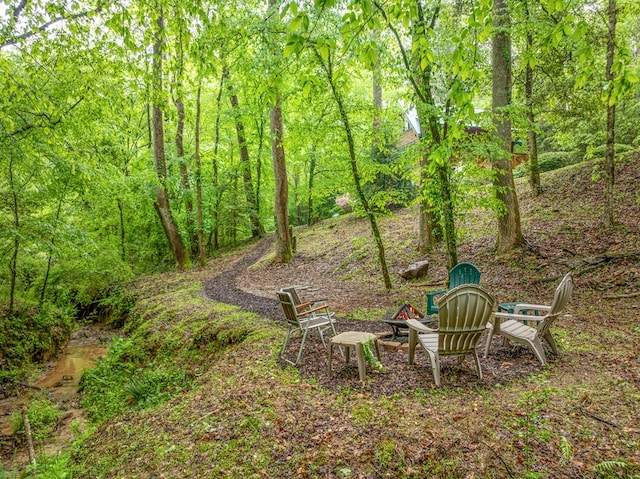 121 Farmstead Rd, Ellijay, GA 30540 - view of yard with an outdoor fire pit