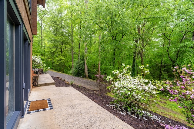 121 Farmstead Rd, Ellijay, GA 30540 - view of patio / terrace featuring a wooded view