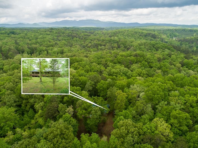 bird's eye view with a mountain view