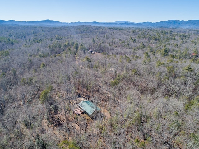 bird's eye view featuring a mountain view