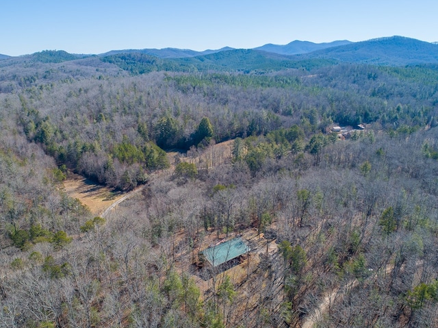 aerial view with a mountain view