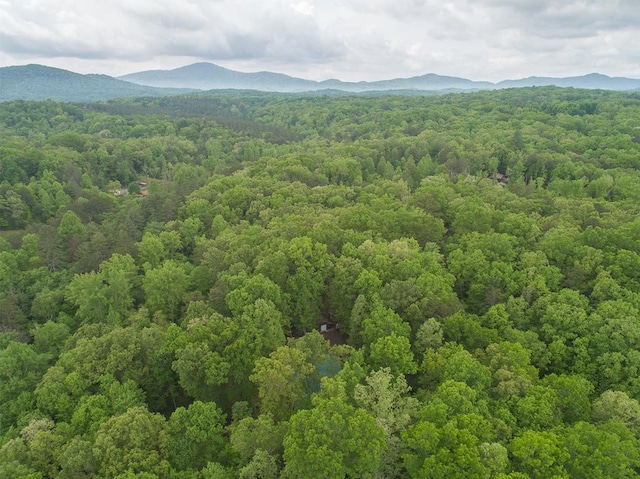 bird's eye view with a mountain view