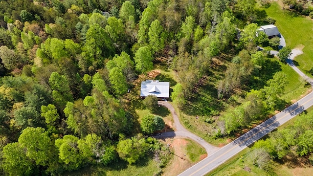 bird's eye view