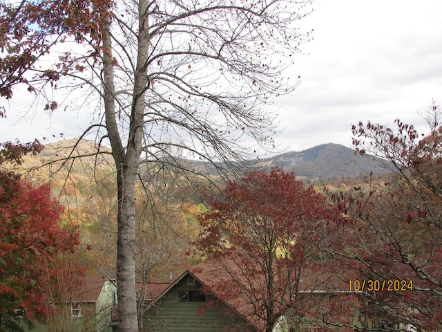 view of mountain feature