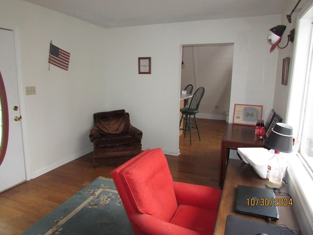 living room featuring dark hardwood / wood-style flooring