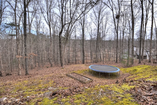 view of yard featuring a trampoline