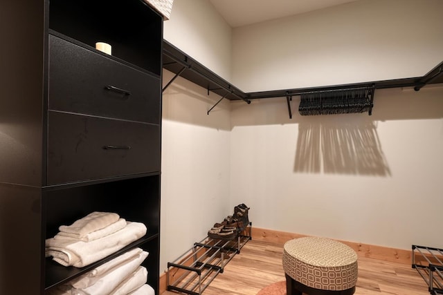 784 Sneaking Creek Dr, Hayesville, NC 28904 - spacious closet with light wood finished floors