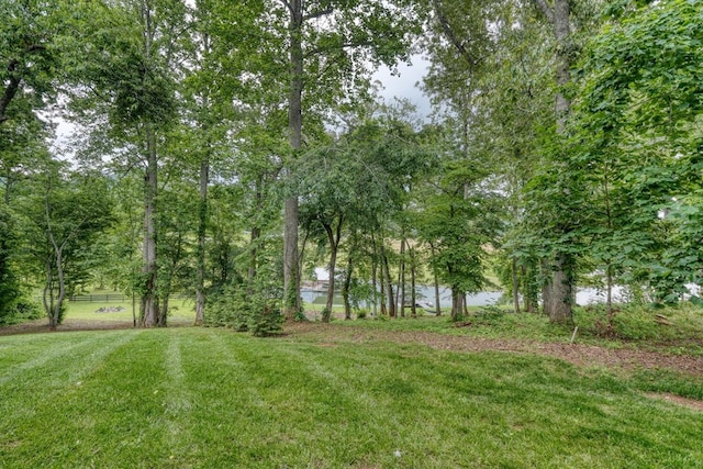 784 Sneaking Creek Dr, Hayesville, NC 28904 - view of green lawn