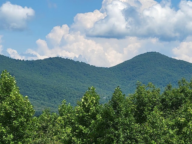 LOT149 The Mtn, Blairsville GA, 30512 land for sale