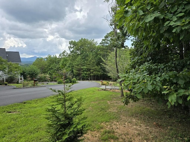 Listing photo 2 for LOT149 The Mtn, Blairsville GA 30512