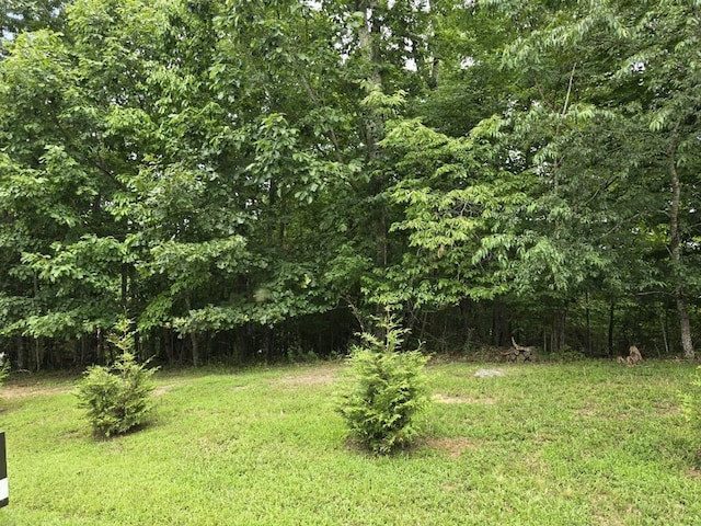 Listing photo 3 for LOT149 The Mtn, Blairsville GA 30512