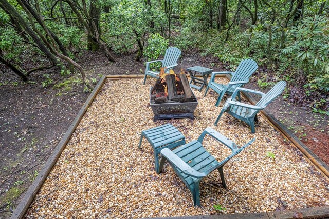 240 Donna Lee Ln, Mineral Bluff, GA 30559 - view of yard with an outdoor fire pit