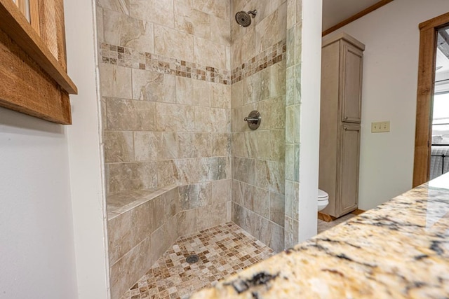 240 Donna Lee Ln, Mineral Bluff, GA 30559 - full bathroom featuring toilet, a tile shower, and vanity