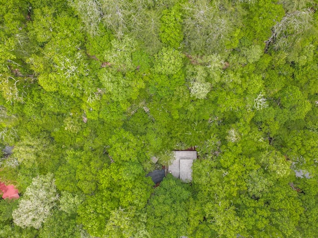 240 Donna Lee Ln, Mineral Bluff, GA 30559 - aerial view