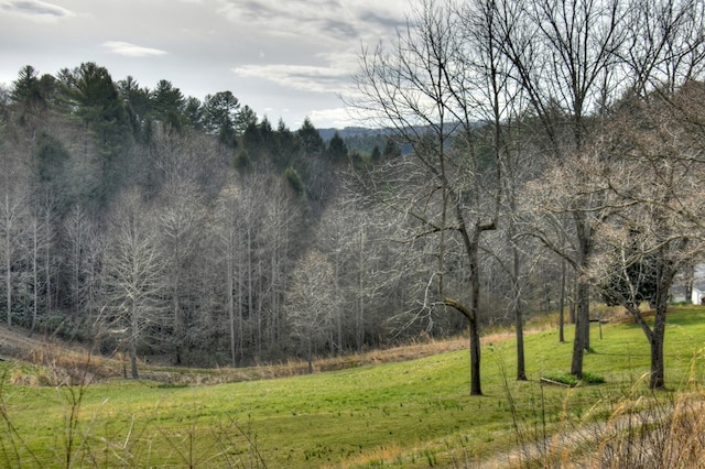 view of nature