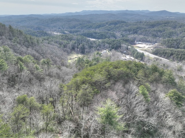 drone / aerial view with a mountain view