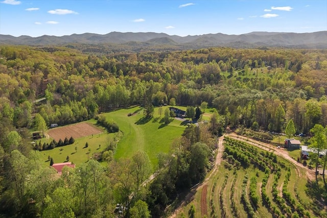 bird's eye view with a mountain view