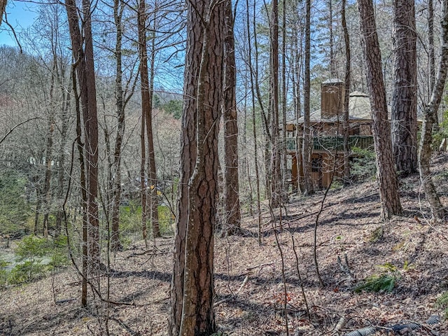230 Tanglewood Dr, Blue Ridge, GA 30513 - view of local wilderness featuring a view of trees