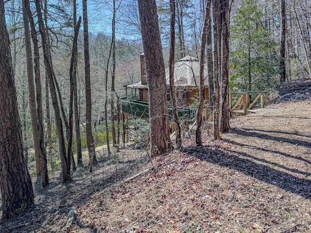 230 Tanglewood Dr, Blue Ridge, GA 30513 - exterior space with a view of trees