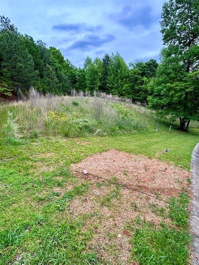 Listing photo 2 for LOT16 Summit Trce, Blairsville GA 30512